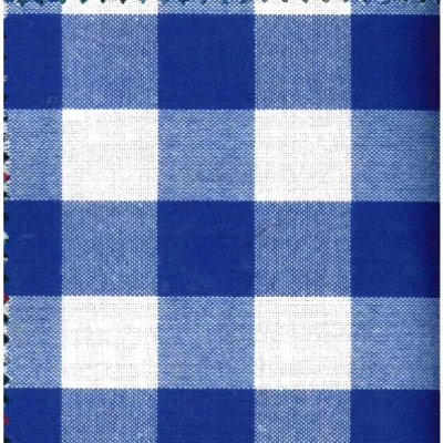 Checked Uniform 1059